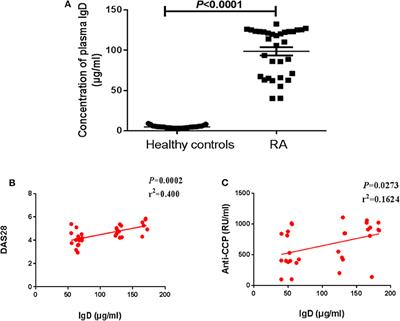 Regulation of T Cell Activities in Rheumatoid Arthritis by the Novel Fusion Protein IgD-Fc-Ig